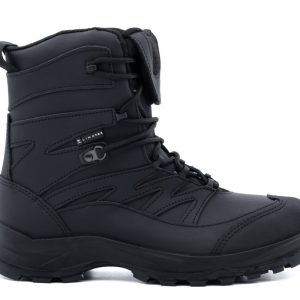 ANFIBIO SOLDINI ARTICOLO 506