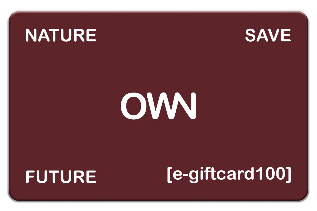 Buono Regalo OWNGIFT100