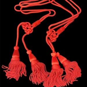 Cordoniera Rossa per Cancelliere